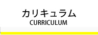 カリキュラム